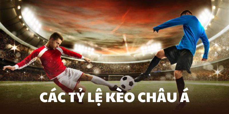 Đa dạng các thông số chấp giữa đội trên so với đội dưới